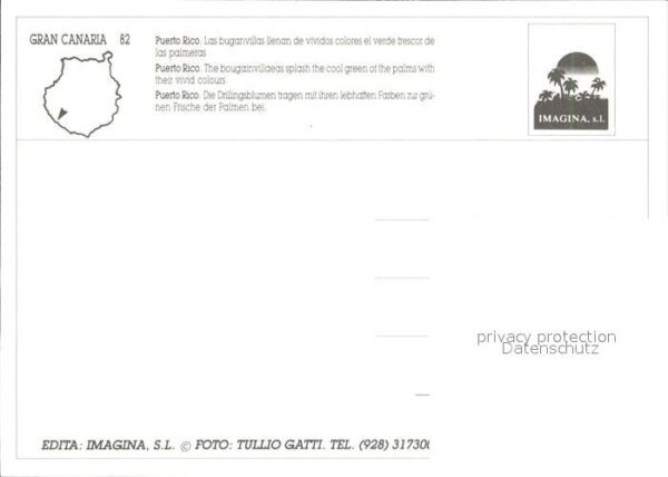 Puerto Rico Gran Canaria Drillingsblumen Palmen Schwimmbad – Bild 2