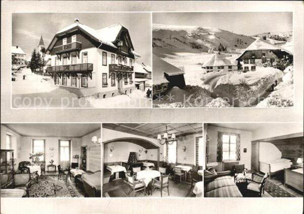 Altglashuette Schwarzwald Pension Haus zum Löwen Winterpanorama