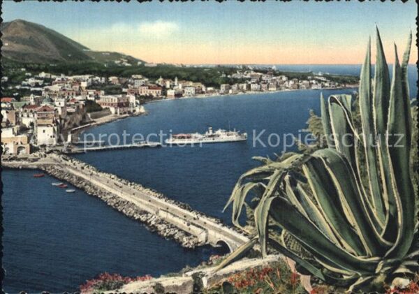 Ponte d Ischia Veduta generale Panorama Küste Kaktus