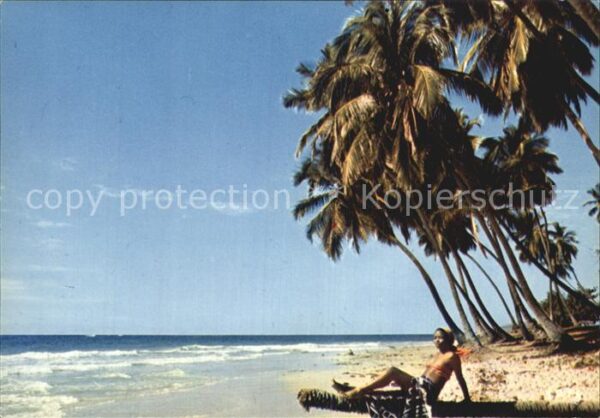 Jacmel Plage Raymond Strand Palmen