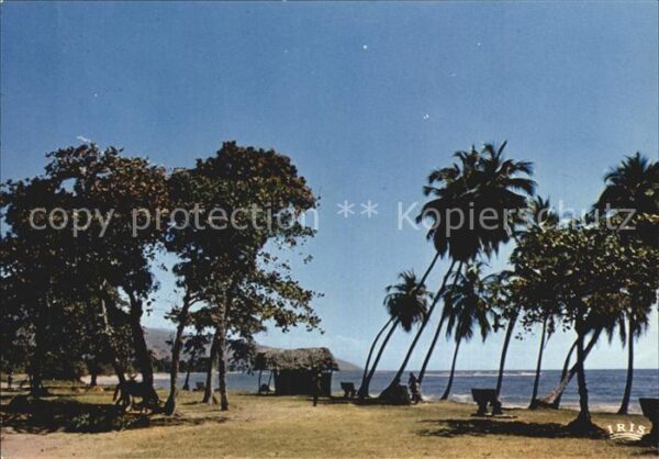 Jacmel Bord de mer Strand Palmen