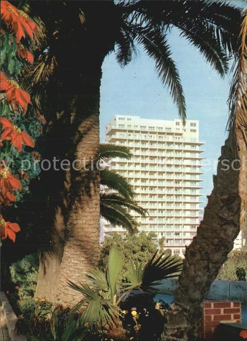 Puerto de la Cruz Palmen Hochhaus
