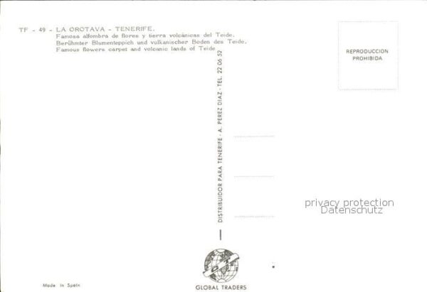 La Orotava Blumenteppich und vulkanischer Boden de – Bild 2