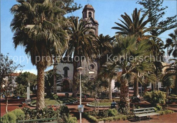 Puerto de la Cruz Plaza Pena de Francia y la iglesia Palm