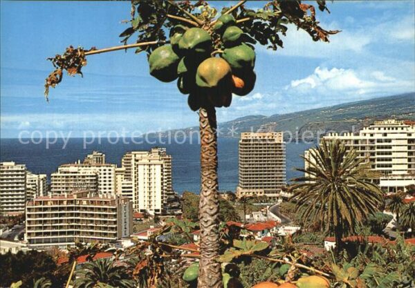 Puerto de la Cruz Panoramica desde las instalaciones hote