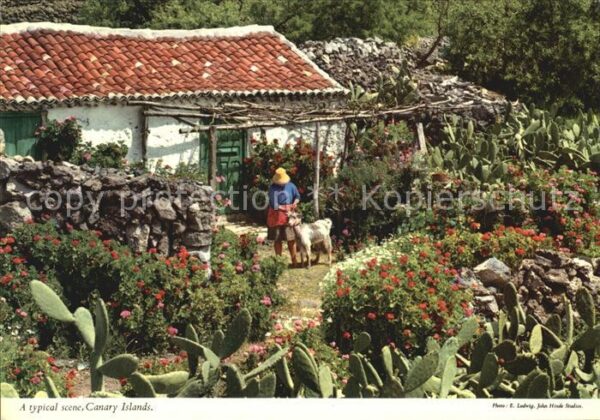 Islas Canarias Typical scene