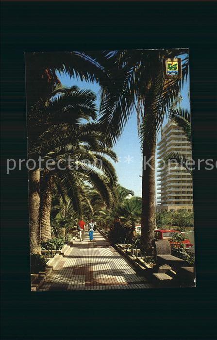 Puerto de la Cruz Palmeras y Paseo Martianez Palmen Prome