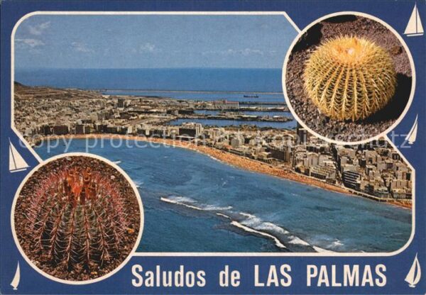 Las Palmas Gran Canaria Kaktus Fliegeraufnahme