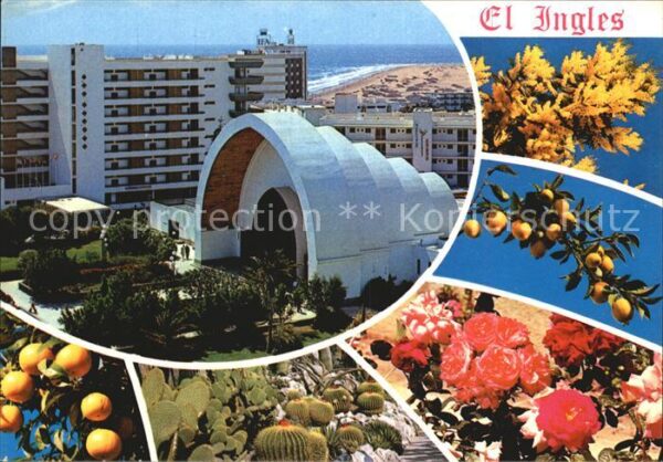 Playa del Ingles Hotel Pavillon Strand Südfrüche Blumen