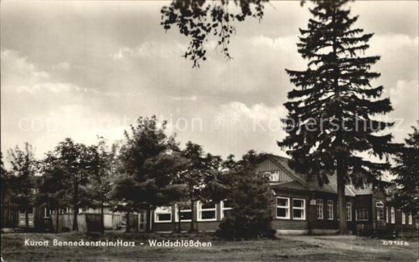 Benneckenstein Harz Waldschlösschen