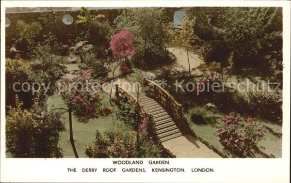 London Woodland Garden