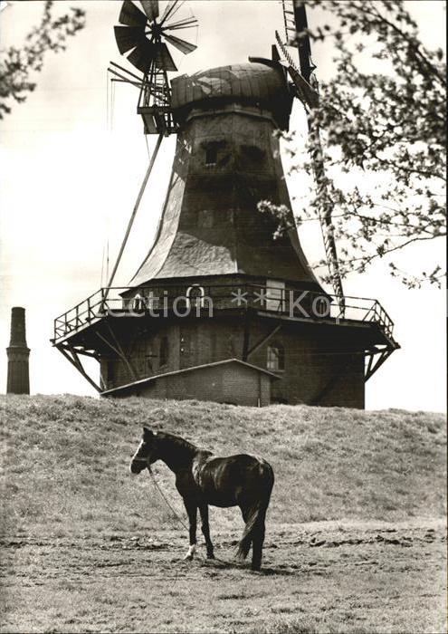 Jork Borstel Mühle