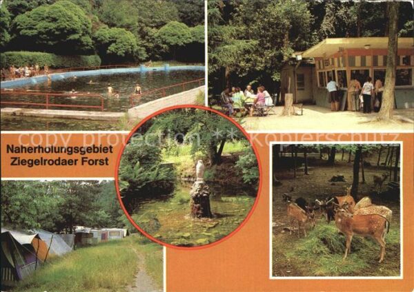 Ziegelroda Waldbad Jägerhütte Campingplatz Heimat
