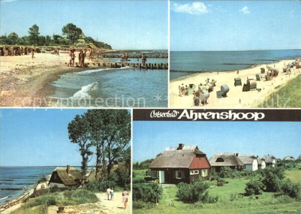 Ahrenshoop Ostseebad Strand Ferienhäuser