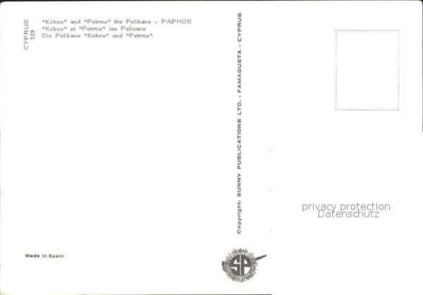 Paphos Pelikane Kokos und Petros – Bild 2