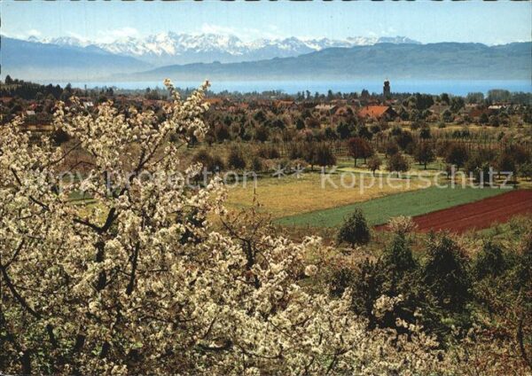 Kressbronn Bodensee Schweizer Hochgebirgskette