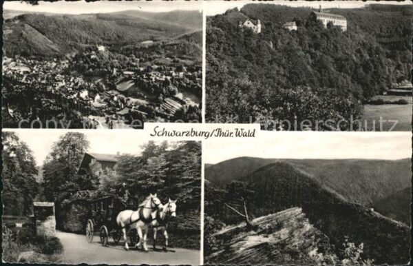 Schwarzburg Thueringer Wald Luftaufnahme Schloss Pferdekutsche
