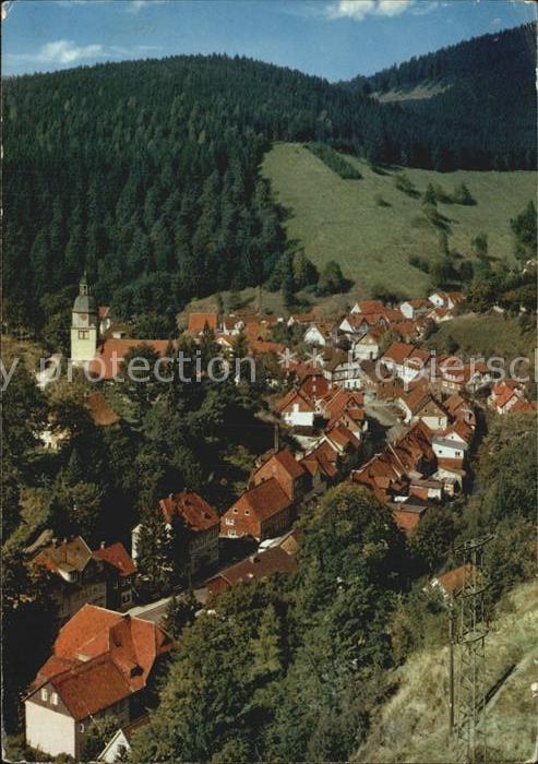 Wildemann Luftbild