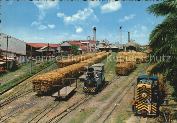 Bacolod Sugarland