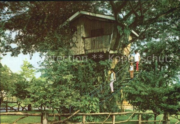 Zamboanga City Tree House