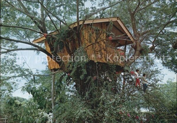 Zamboanga City Tree House