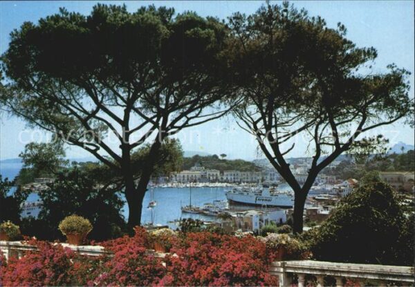 Ischia Il Porto
