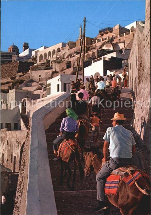 Santorin Thira Thera Eselreiten