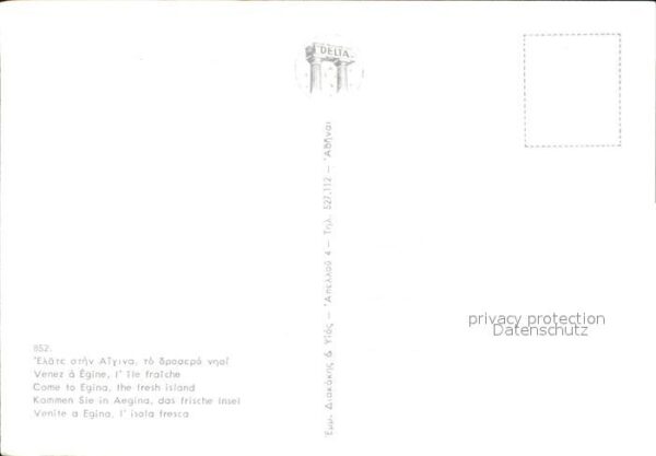 Egina Aegina – Bild 2