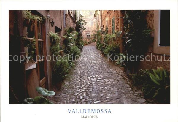 Valldemosa Gasse