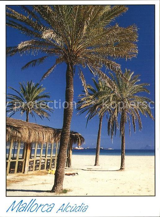 Alcudia Mallorca Strand