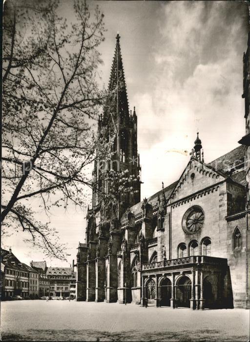 Freiburg Breisgau Münster