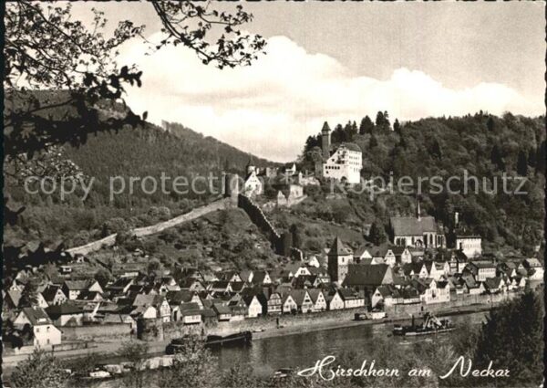 Hirschhorn Neckar Panorama