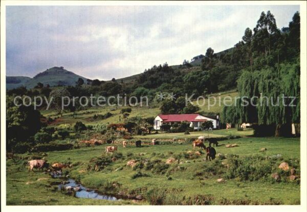 Eastern Transvaal Panorama