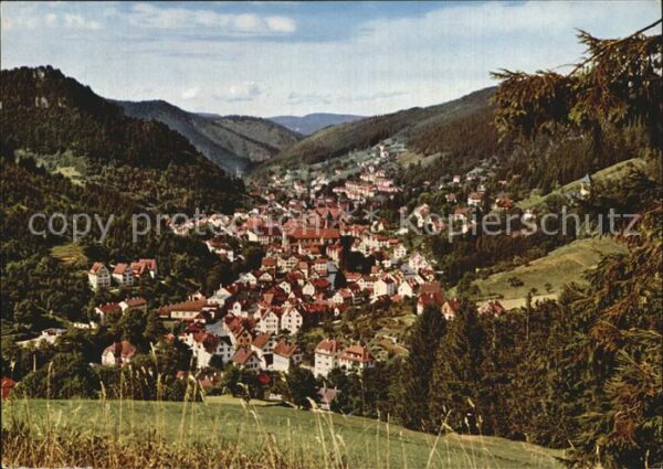 Schramberg Panorama