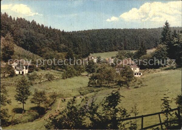 Neuhaus Solling Waldhotel alte Mühle