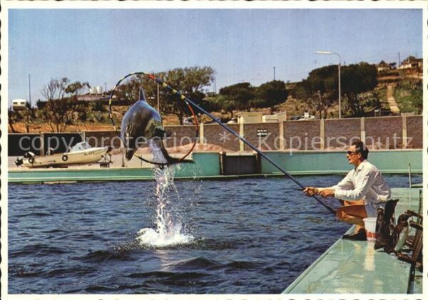 Port Elizabeth Southafrica Ozeanium Delfinvorführung