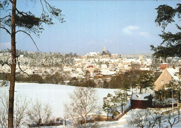Neuhaus Pegnitz Teilansicht im Winterkleid