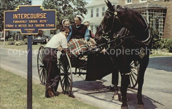 Pferde Penna Dutch Country Amish