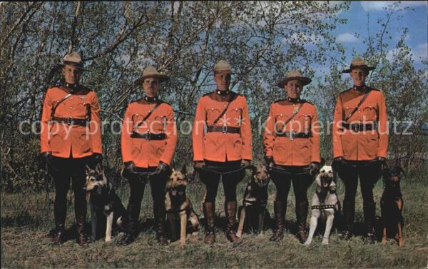 Polizei Royal Canadian Mounties in Action Hunde