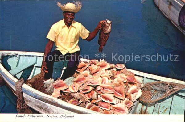 Fischerei Conch Fisherman Nassau Bahamas
