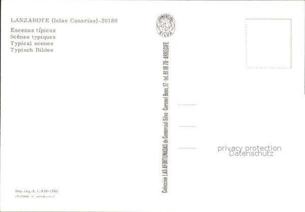 Ziege Lanzarote Islas Canarias – Bild 2