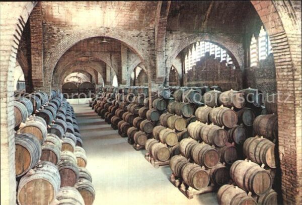 Wein Cavas Codorniu Bodega Weinkeller