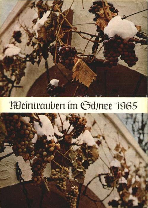 Wein Weintrauben im Schnee 1965 Weinstube Kä