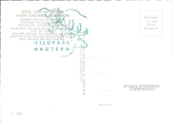 Hirsch Wildpark Steiermark-Mautern Wildschwein – Bild 2