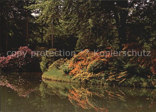 Blumen Botanischer Garten und Rhododendron-Par