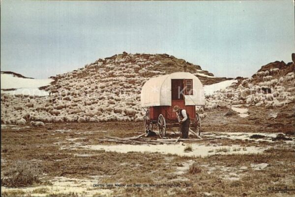 Schafe Drifter Sheep Wagon and Band Winter Bed