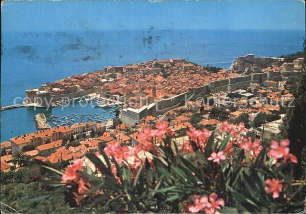 Dubrovnik Ragusa Panorama