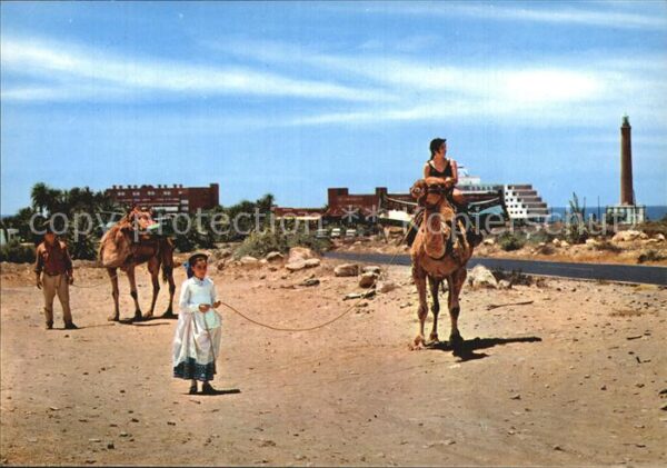 Maspalomas Kamele Ausflug