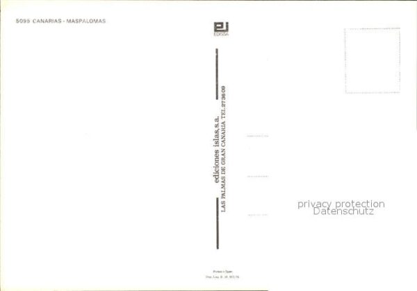 Maspalomas Kamele Ausflug – Bild 2