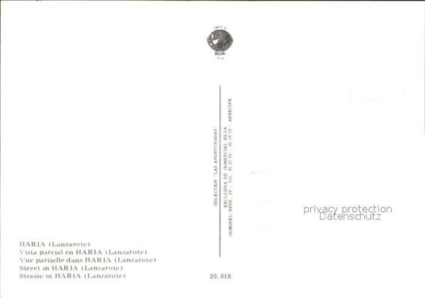 Haria Stadtansicht – Bild 2